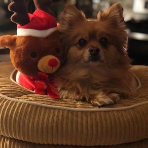 Meet your Posher, Dee